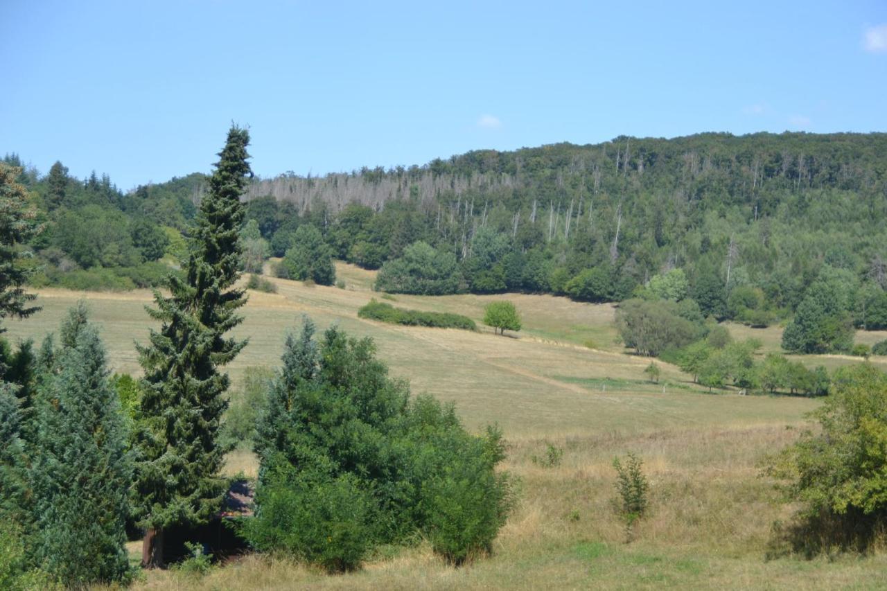 Frankenau Fewo Kellerwald Esterno foto